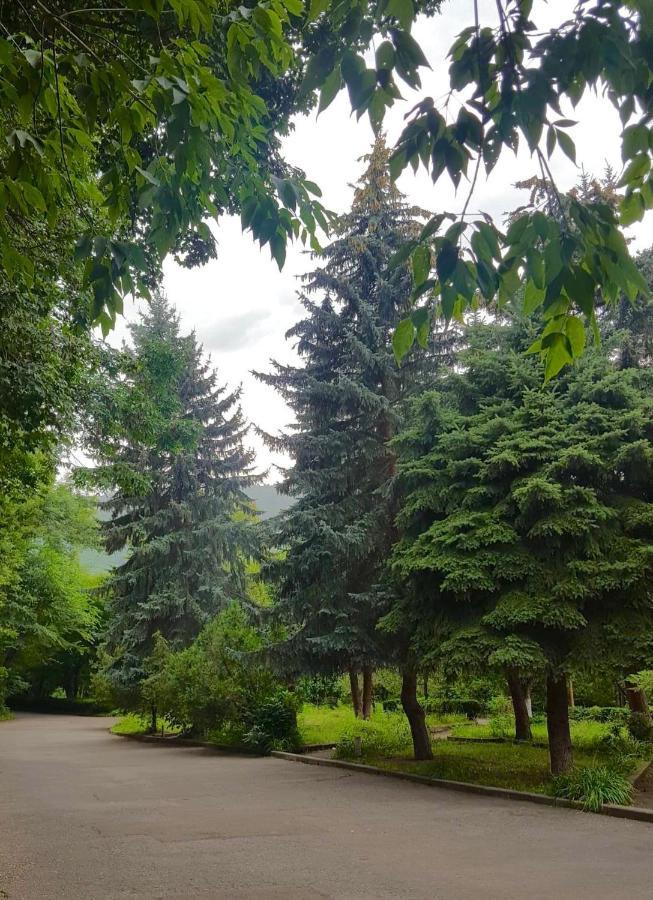 Vanadzor Armenia Health Resort & Hotel Екстериор снимка