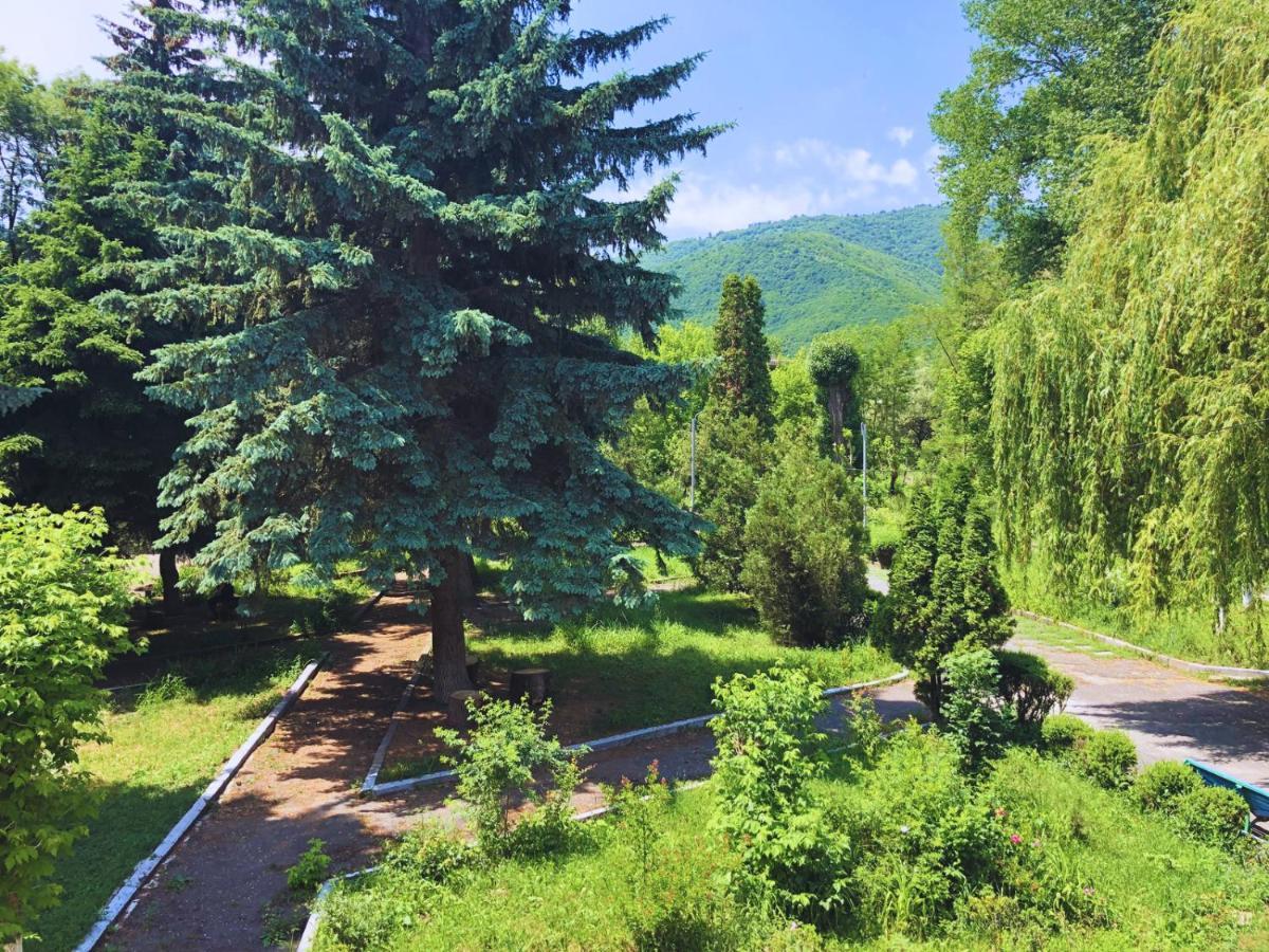 Vanadzor Armenia Health Resort & Hotel Екстериор снимка